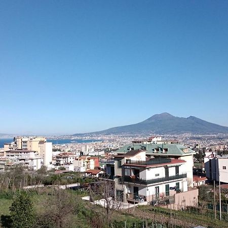 B&B Il Limoneto Gragnano Ngoại thất bức ảnh